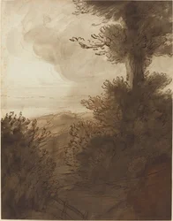 De Grote Boom