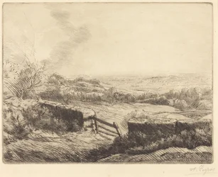 The Gate (De ingang van het veld)