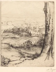 Uitzicht op riet