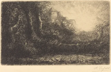 Uitzicht op een kasteel (Chateau de Poillet)