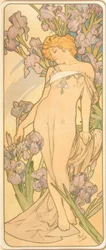 De iris