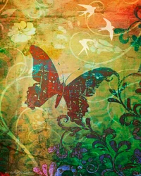 Vlinderhaiku, 2014, digitale mixed-media-phoneografie