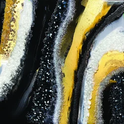 Luxueuze zwart-gouden glans