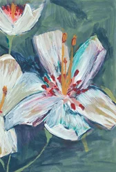 Levendige witte leliebloemen