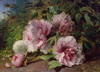 Studie van Pioenen, 1874