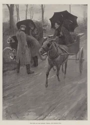 De Haas en de Schildpad opnieuw verteld, de Schildpad wint