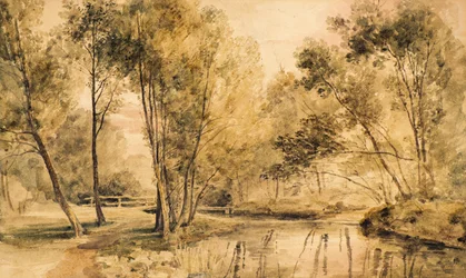 Studie van Bomen