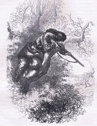 Amerikaanse scherpschutter in een boom, illustratie uit Cassells Geschiedenis van de Verenigde Staten uitgegeven door Cassell, Petter & Galpin, c.1900