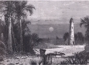 Uitzicht op de kust van Florida, illustratie uit Cassells Geschiedenis van de Verenigde Staten gepubliceerd door Cassell, Petter & Galpin, ca. 1900 (litho)