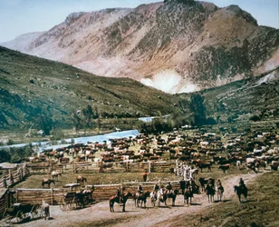 Veeboerderij, Colorado