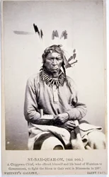 NE-BAH-QUAH-OM, Grote Hond, Chippewa Chief, bood aan om tegen de Sioux te vechten in Minnesota