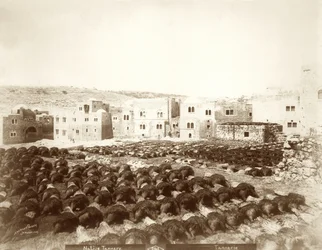 Leerlooierij in Hebron met huiden op de voorgrond, 1898-1911