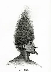 Api Man, illustratie uit Appletons Journal, 4 mei 1872