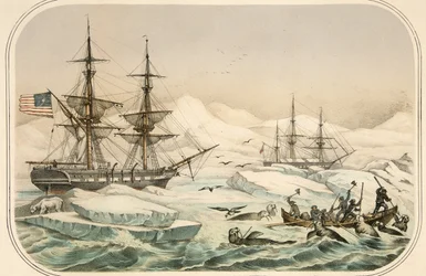 Bemanning van een walvisvaarder aangevallen door walrussen