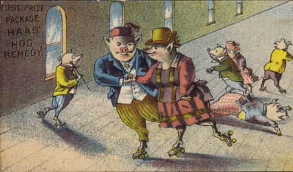 Varkens rolschaatsen