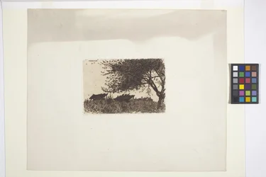 Landschap