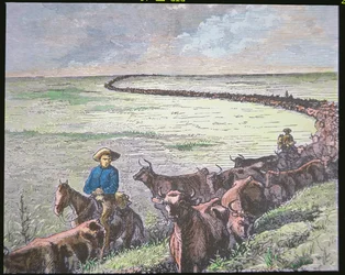 Longhorn veedrijver van Texas naar Abilene, Kansas, c.1870s