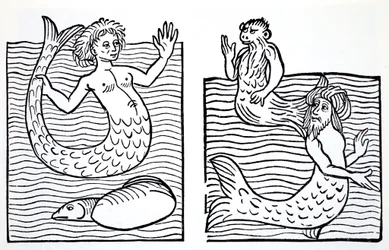 Zeemeerminnen en meermannen, uit The World Guide to Gnomes, Fairies, Elves and Other Little People van Thomas Keightley (1789-1872), gepubliceerd in 1880