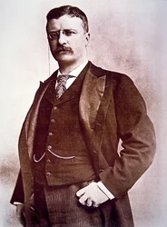 President Theodore Roosevelt (litho)