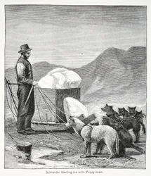 Schneider die ijs sleept met het puppy-team, Londen 1886