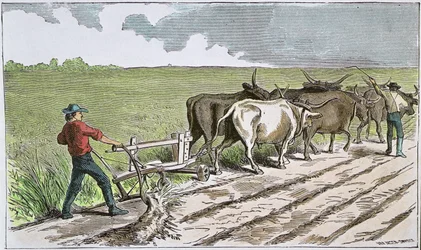 Sodbusters van het Amerikaanse Westen, ca. 1880 (gekleurde gravure)