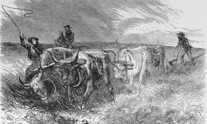 De Prairie Sod Plow, illustratie uit 