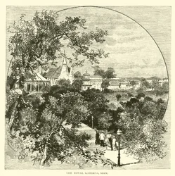 De Koninklijke Tuinen, Siam
