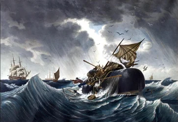 Walvis vernietigt walvisvaartuig, c.1875