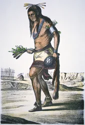 Zuni-stamlid