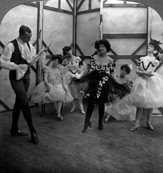 De school van het ballet