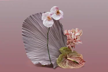 Ikebana 12, 2018 (fotografie)