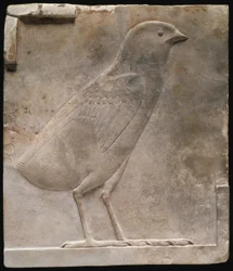 Plaquette met afbeelding van een kwartelkuiken