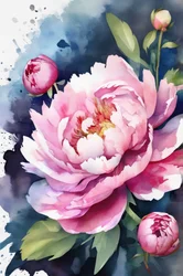 Roze pioenroos in aquarel