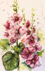 Levendig roze stokrozen