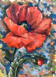 Levendige rode papaver
