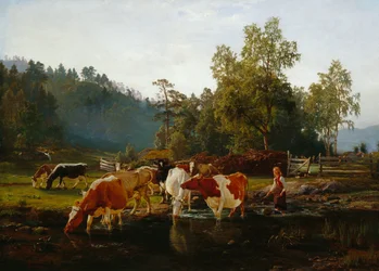 Koeien bij de rivier