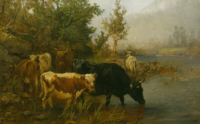 Koeien bij het water