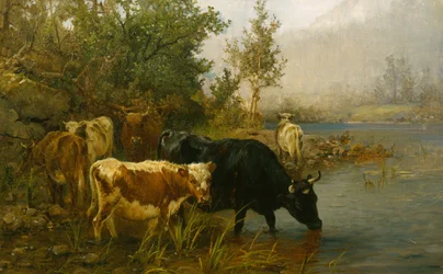 Koeien bij het water