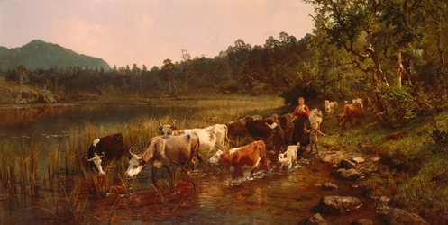 Zomerdag bij het meer