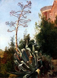 Landschap; Zuid-Italië