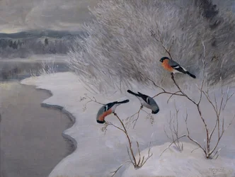 Goudvinken