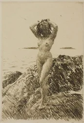 Hårtång (Zeewierkrans)