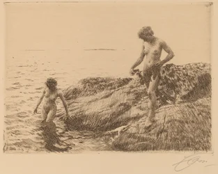 Zee Skerries