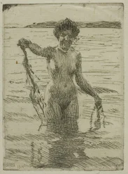 Zeewier