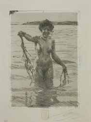 Zeewier