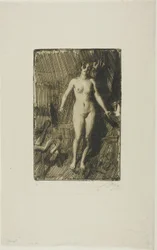 Staand model