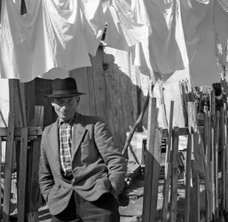 CROTONE - PORTRET VAN EEN MAN