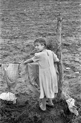 CROTONE PLATTELAND - HANGENDE DOEKEN