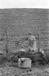 PLATTELAND VAN CROTONE - DE KLEINE WASMAN,