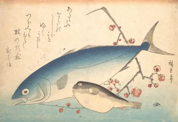 Fugu en Inada vis, uit de serie Uozukushi Elke soort vis, 1840s